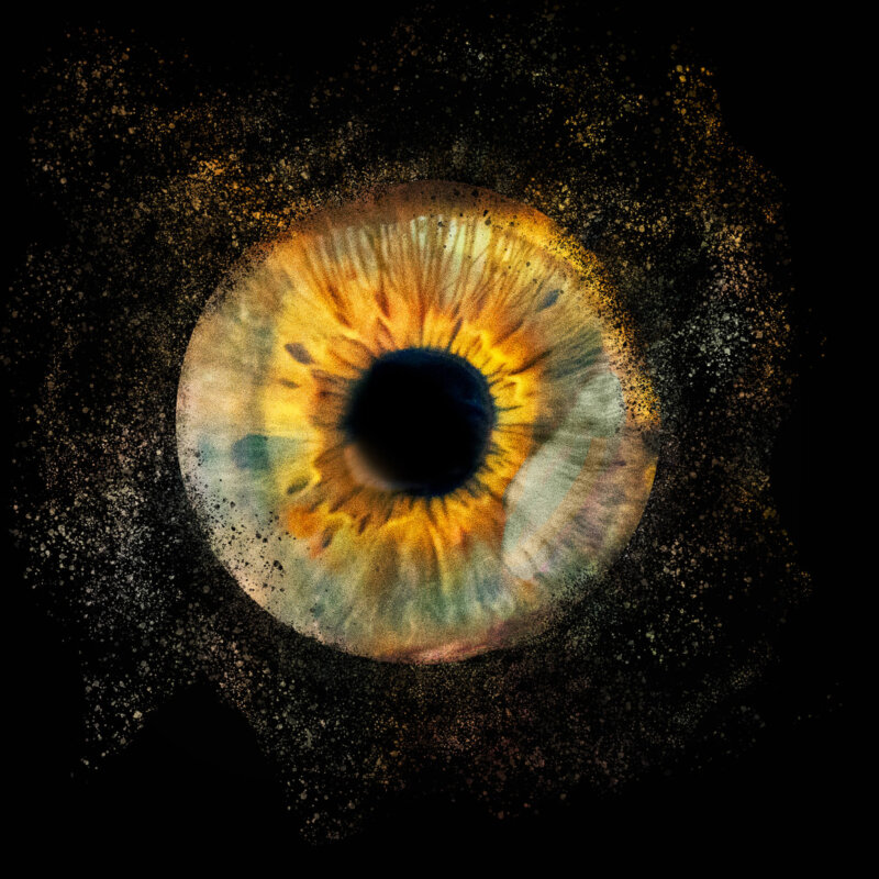 Photographie gros plan iris