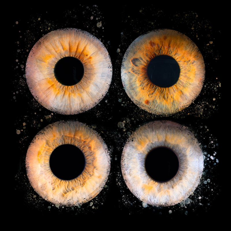 Photographie famille iris