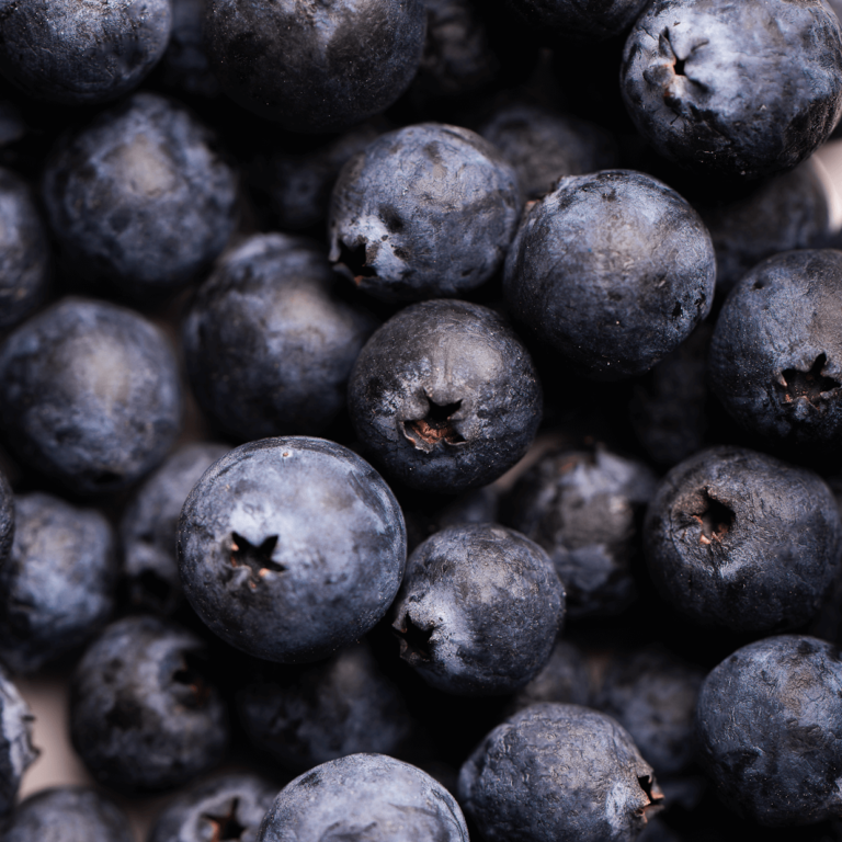 shooting photo gastronomique.9